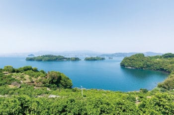大村湾リアス式の入り江